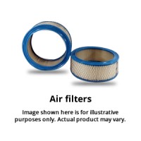 Air Filter WA1001