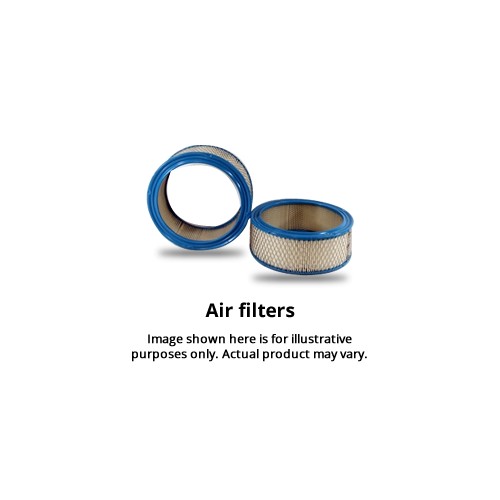 Air Filter WA1007